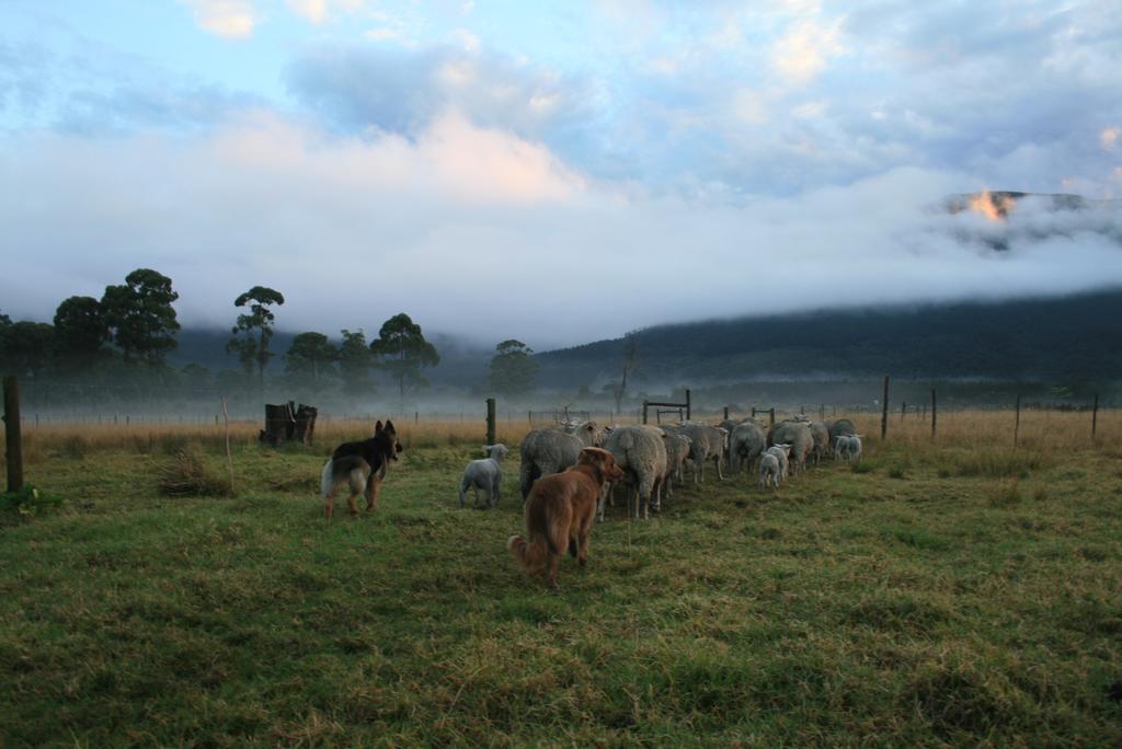 Love Earth Farm Sanddrif ภายนอก รูปภาพ